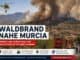 Waldbrand in der Nähe von Murcia mit Feuerwehr und Helikopter im Einsatz.