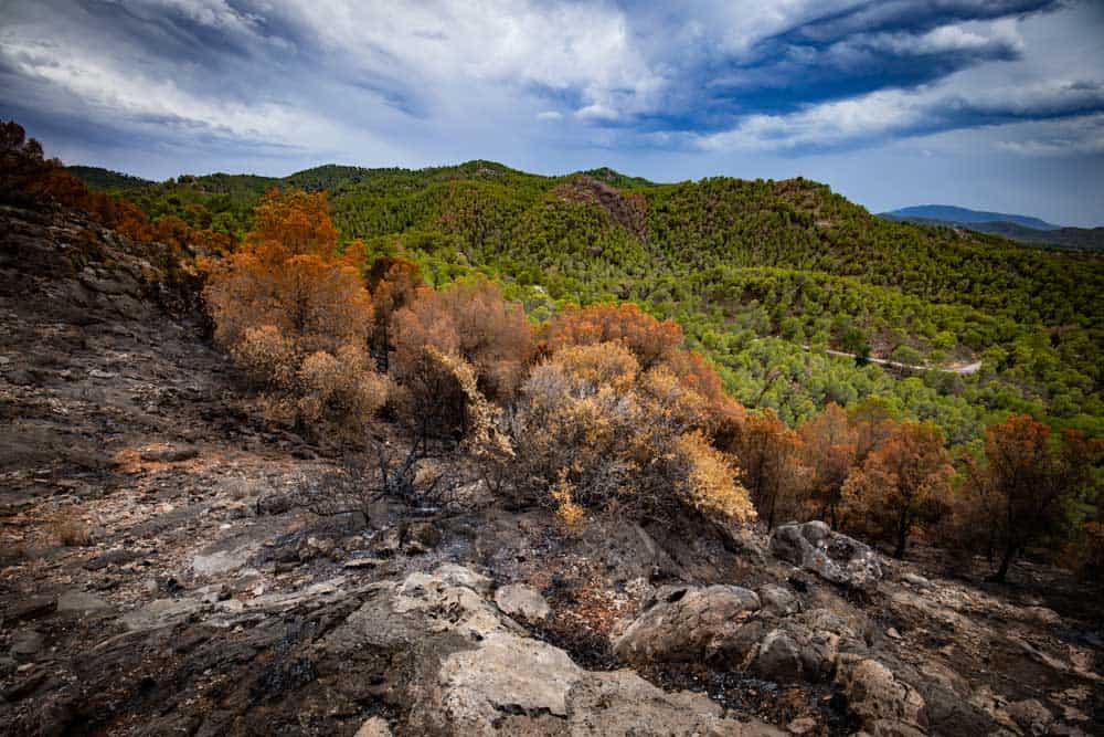 walbrand-nahe-murcia