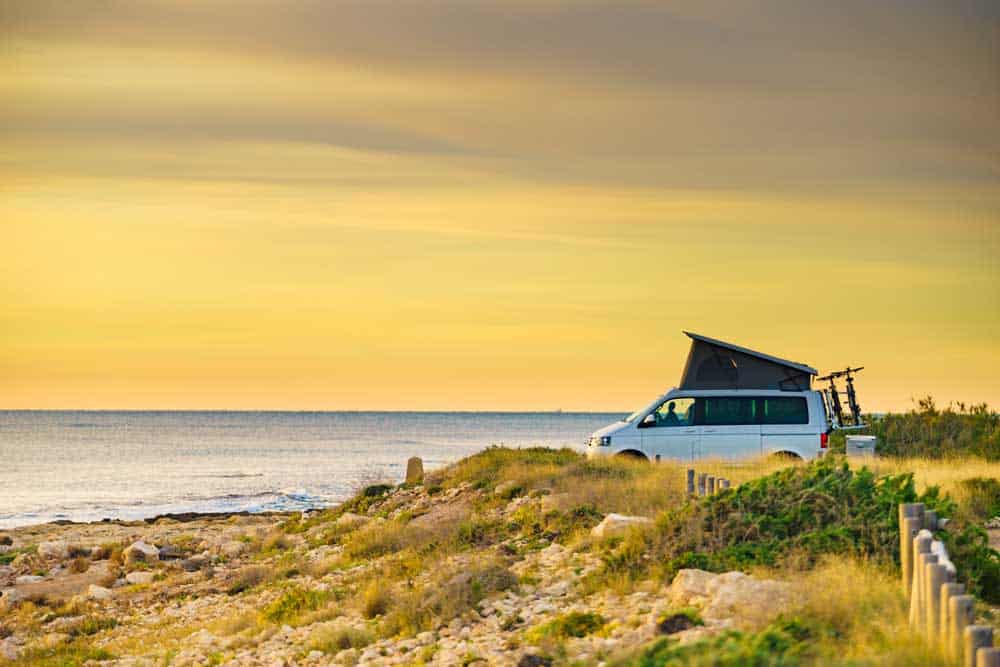 wildcamen-spanien