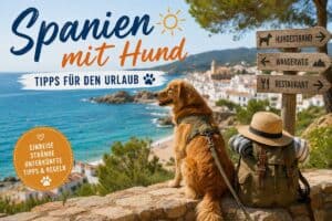 spanien-mit-hund