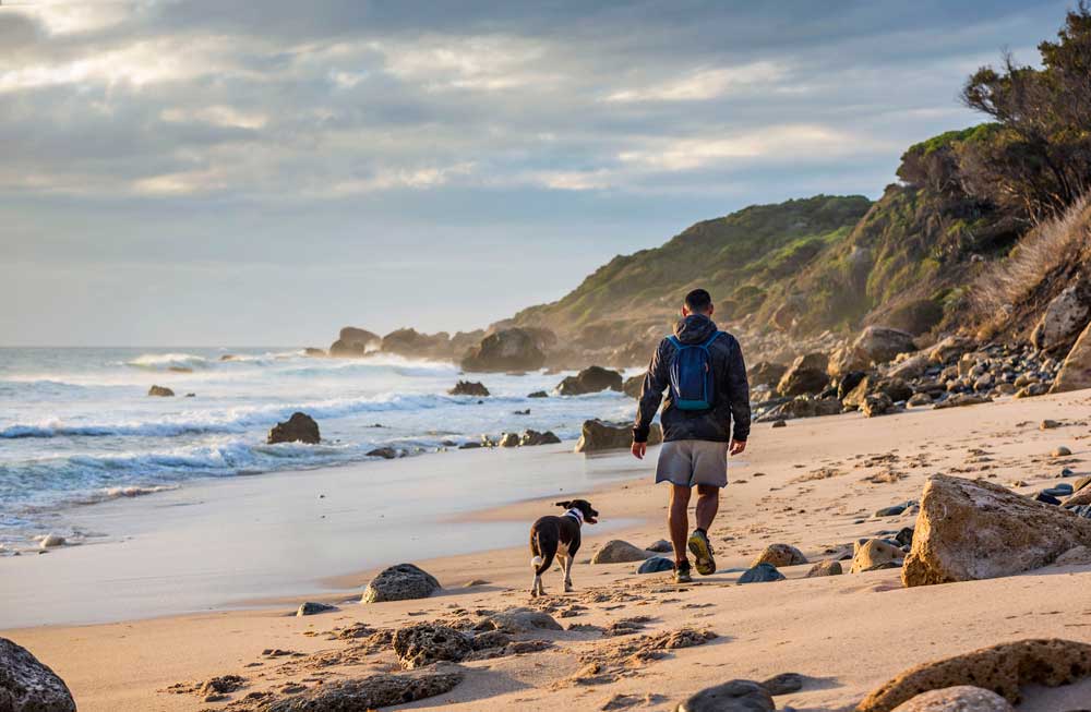 urlaub-in-spanien-mit-hund