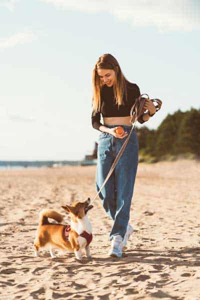 mit-hund-im-spanienurlaub-am-strand