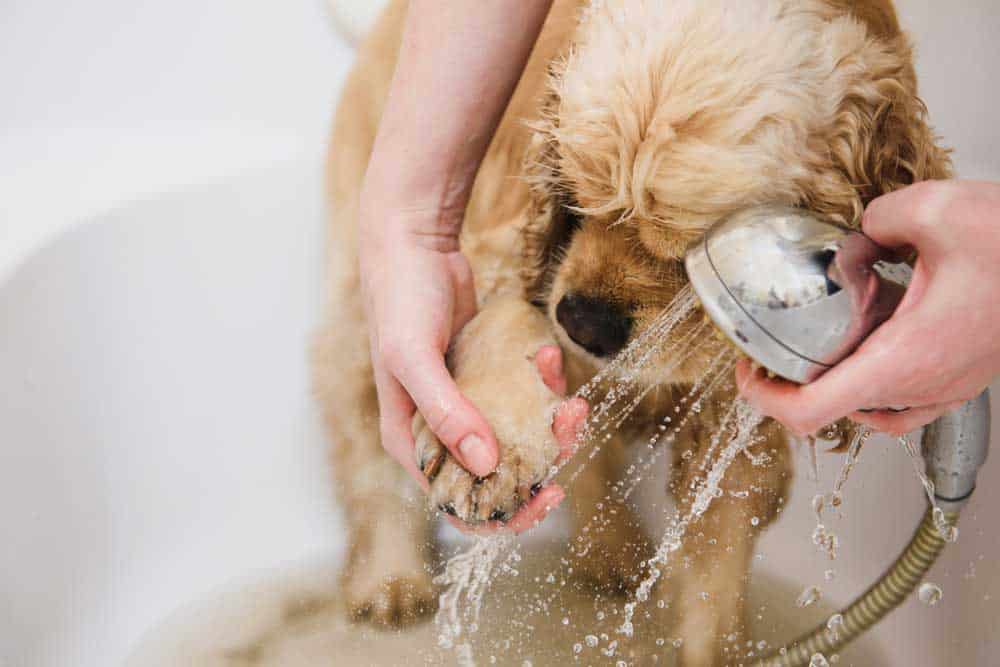 sand-und-salzwasser-abends-abduschen