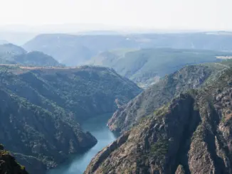 Blick von oben in die tief eingeschnittene Sil-Schlucht der Ribeira Sacra mit bewaldeten Felswänden