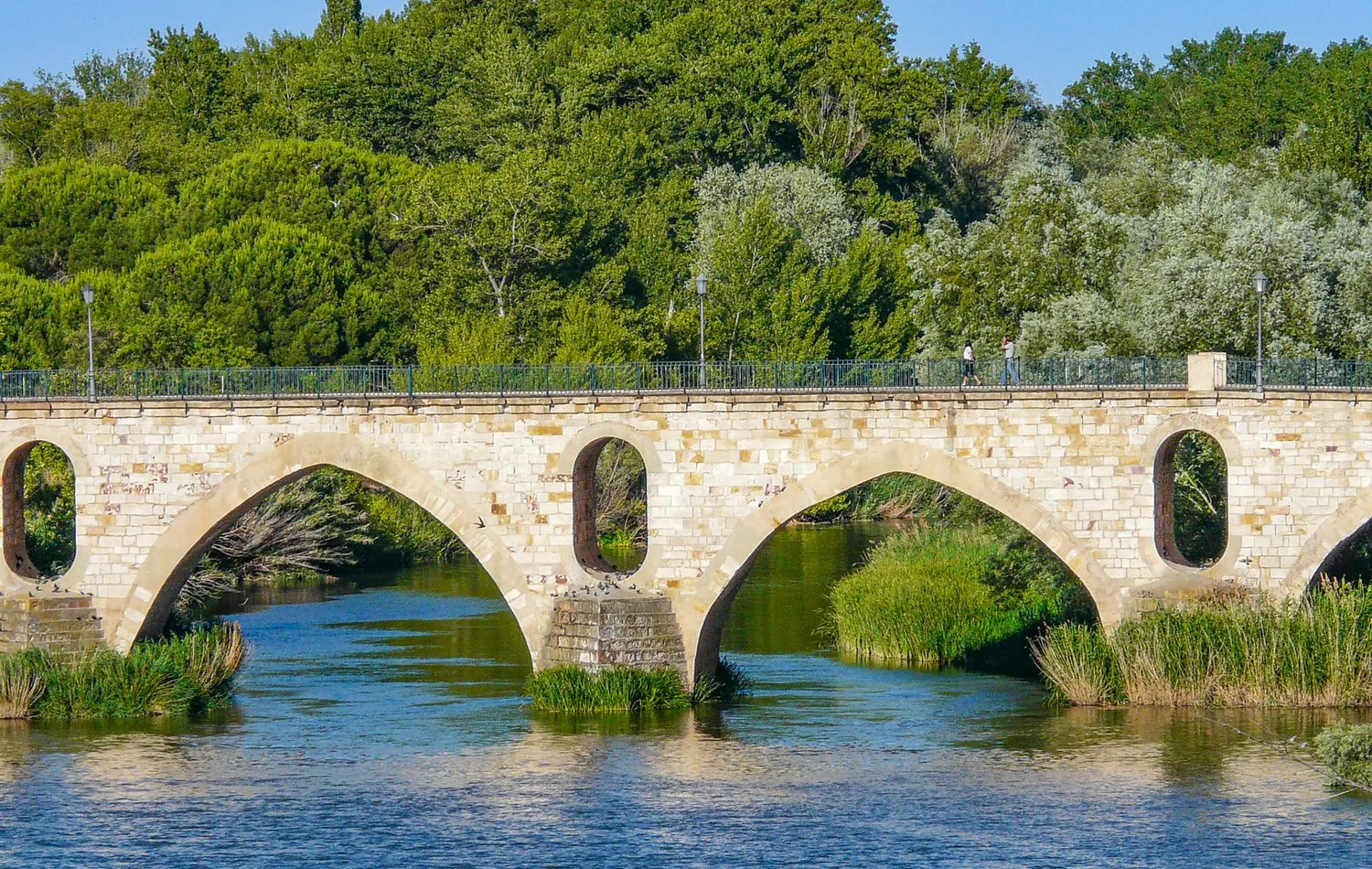 Puente de Piedra über dem Duero in Zamora mit grüner Uferlandschaft